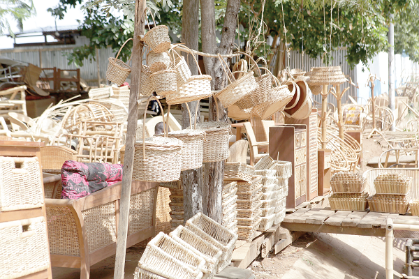 bamboo2