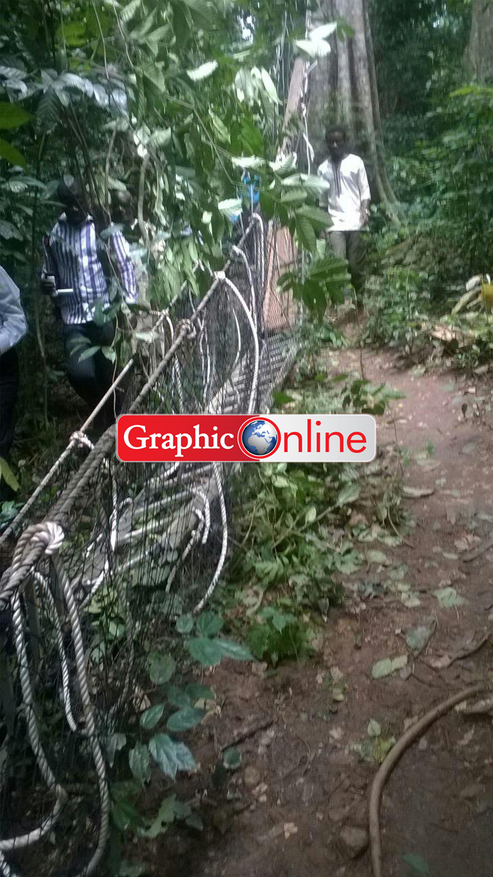 The collapsed canopy. Pictureby George Folley