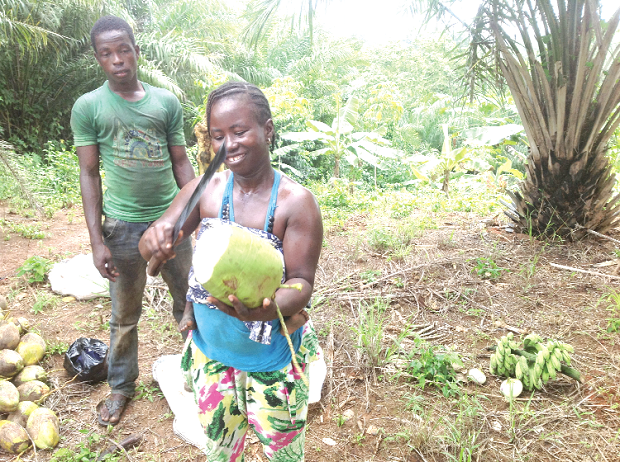 Madam Ramatu displays her skills as she peels the coconut for customers