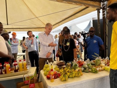 Dutch businesses explore Ghana’s horticulture market