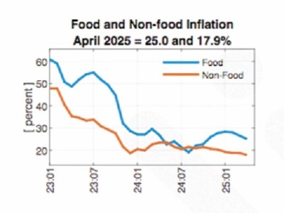 Inflation rate set to tumble by 18.8% — Fitch 