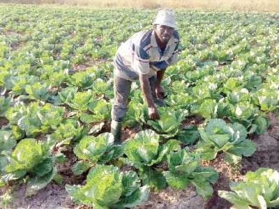 Funding gap hits agric sector 