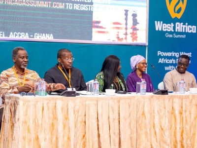 Private sector key to unlocking West Africa’s gas potential — Panellists