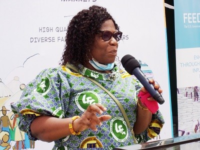 Food inflation: Slow implementation of agric initiatives blamed