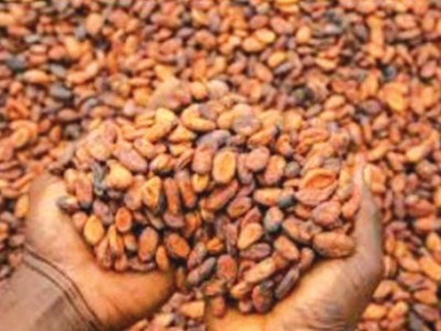 Cocoa Processing Company posts $4.07million loss