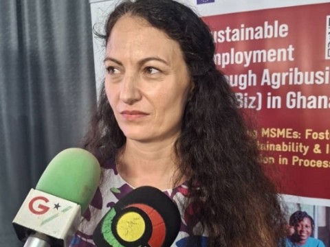 Ghana's agribusiness sector poised for growth — Trade Ministry