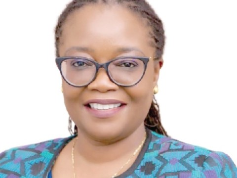 Use effective approaches to attract accounting students — ICAG Council member
