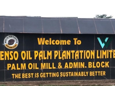 Benso Oil Palm Plantation declares GH₵2.13 dividend per share in 2024