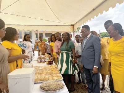Scientists push for investment in cashew value addition