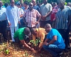 Dr Hanson Mensah-Akutteh (right), Chief Manager, Ashanti Production, GWL, together with Zachariah Mba (middle), DCE, Atwima Nwabiagya North, and Abraham Essel (left), District Manager, Forest Services Division, Nkawie, jointly planting a tree within a degraded portion of the Barekese dam forest cover