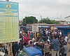 Ablekuma North rerun: Voting halted at Odorkor polling centre after incident involving Hawa Koomson