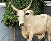 Linda Ocloo: Regional Minister assures Kanda Highway livestock traders will vacate area by Saturday