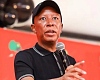 Julius Malema: South African politician hits out after failing to get UK visa