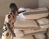Sacks of maize harvested