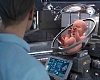 This artificial womb enables embryo to grow outside of the body