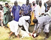 A sheep being slaughtered in Ho to mark the day