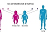 Male child preference fades among modern men 