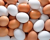 Ghana egg suppliers demand action over Burkina Faso export ban