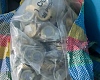 Cash found hidden in bags on a commercial bus, according to police.