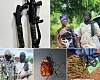 Tense gunfight in Labadi: Police kill 2 robbers, launch manhunt for accomplices