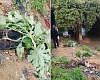 Man found dead under bridge after reportedly selling his car