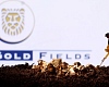 Gold Fields eyes share buyback amid rising gold prices