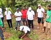 Members of the Abutia Development Union during the tree planting exercise