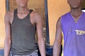The suspects 