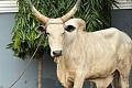 Linda Ocloo: Regional Minister assures Kanda Highway livestock traders will vacate area by Saturday