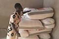 Sacks of maize harvested