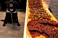 Sniffer Dog intercepts 40kg of undeclared meat from Nigerian traveller at Toronto Airport