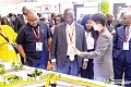 Emmanuel Armah-Kofi Buah (middle), Minister of Lands and Natural Resources, and the Ghana delegation interacting with an investor at the 2026 Mining Ndaba in South Africa