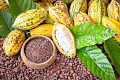 Protecting Ghana’s cocoa farmers from global price shocks: Why local value addition must be a national priority  A Policy Perspective