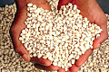 FDA warns against using ‘cement’ to preserve beans