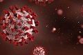 According to WHO, there have been 600 suspected cases of Ebola so far and 139 suspected deaths