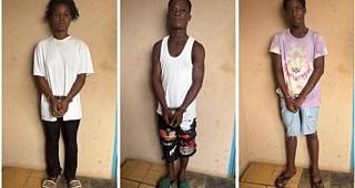 Three young armed robbers jailed over iPhone 6s theft in Ho