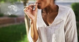 images/2025/apr/25/marijuana25.jpg#joomlaImage://local-images/2025/apr/25/marijuana25.jpg?width=500&height=262