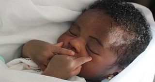 World fertility rates in 'unprecedented decline' - UN