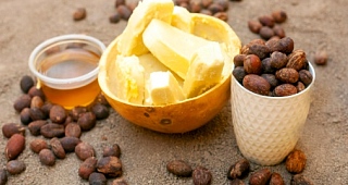 TCDA sets GH₵9.01/kg as Minimum Producer Price for shea nuts from July 1