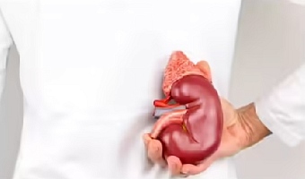 With poor lifestyle, genes, or age, kidney function can becomes severely impaired, leading to Chronic kidney disease (CKD)