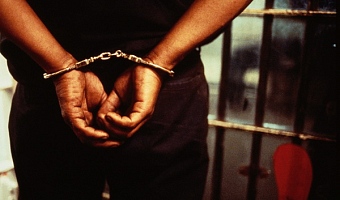 Police, Immigration arrest 12 Nigerians in cyber fraud, trafficking crackdown