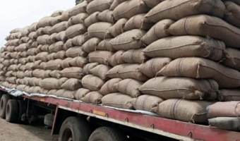 TCDA rolls out nationwide certificate system for transport of tree crops