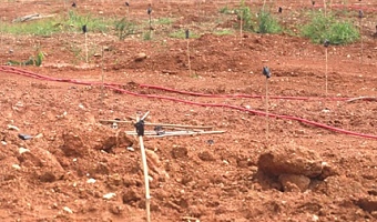 A section of the reclaimed mined site