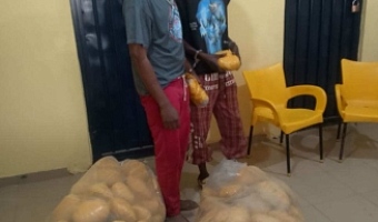 Police nab 2 suspects with 166 parcels of cannabis valued at GH¢107,000 in Kintampo