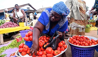 'No justification to exist' — FABAG slams Agriculture Ministry over tomato shortage