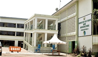 MoFA audit: Tonnes of rice, maize missing - 2 Ghost companies paid GH¢24m