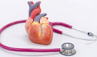 Keeping your heart healthy is vital for overall well-being
