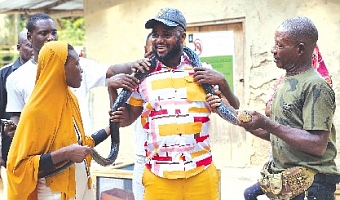 From panic to poise — a visitor learns to trust the snake, and the man who understands it