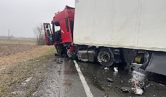 Seven PAOK fans have tragically died after their minibus crashed with a lorry in Romania