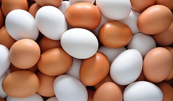 Ghana egg suppliers demand action over Burkina Faso export ban